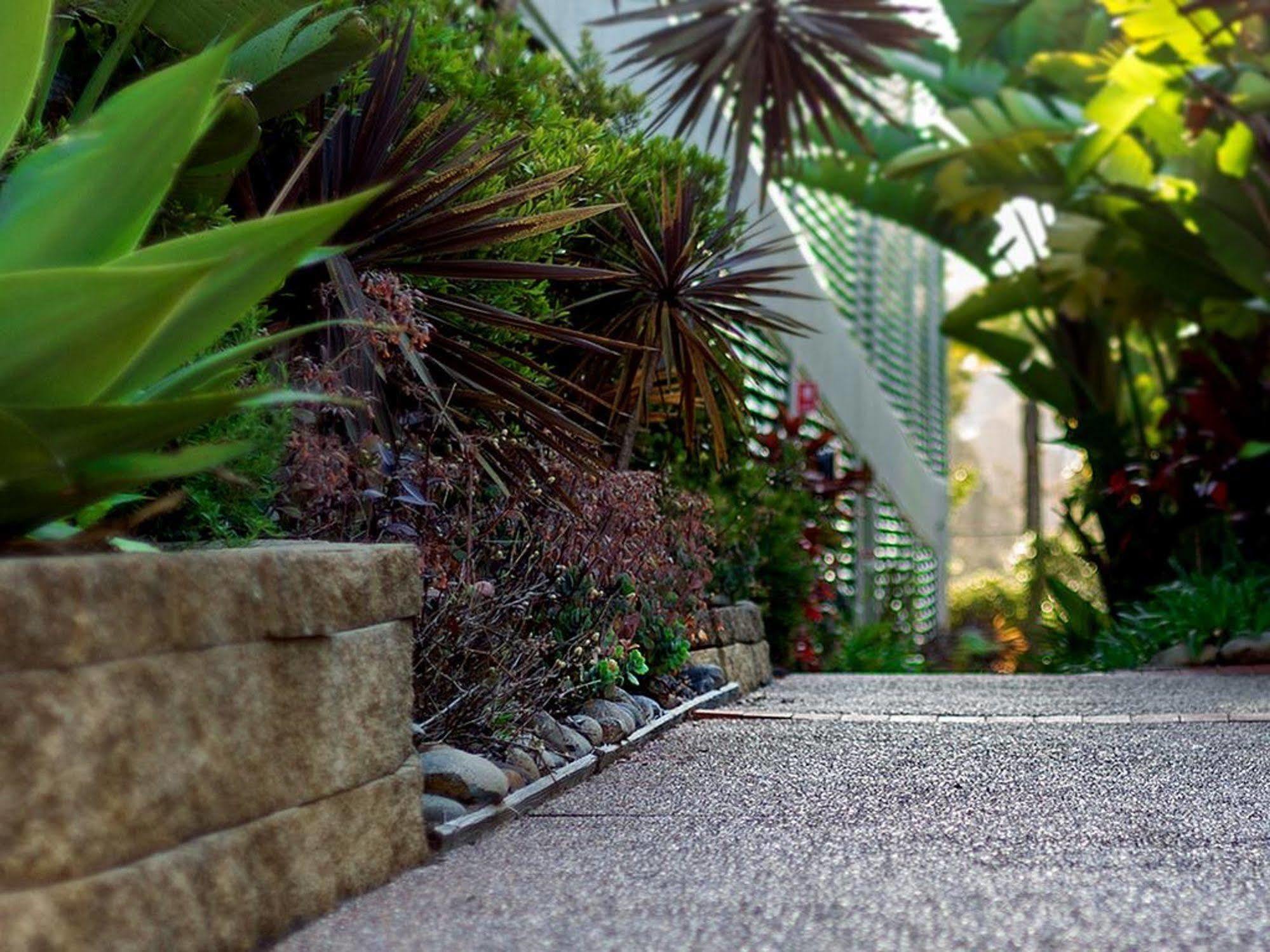 Avoca Palms Resort Terrigal Extérieur photo